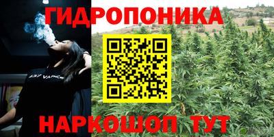 PSILOCYBIN Среднеуральск