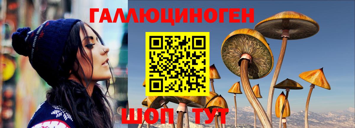 Новоалександровск  Псилоцибиновые грибы мухоморы  Вход с VPN  купить закладку  Галлюциногенные грибы Psilocybe 